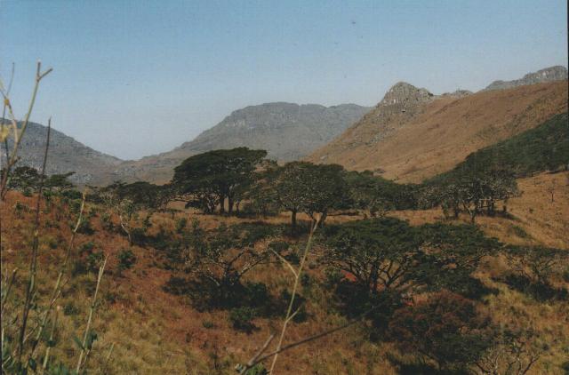 Image 1 of 26  -  42 kB