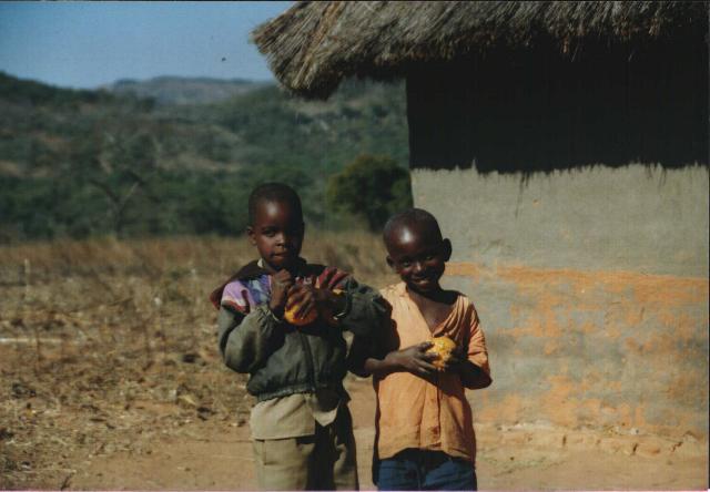 Image 8 of 26  -  37 kB