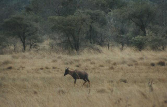 Image 10 of 26  -  28 kB
